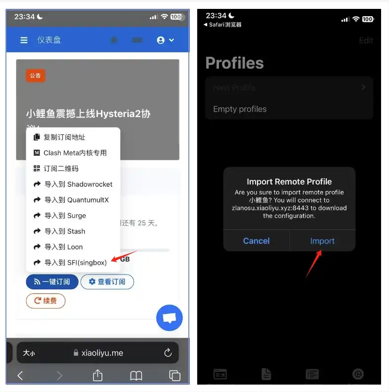 sing-box 导入配置文件