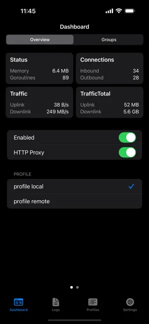 sing-box iPhone下截图